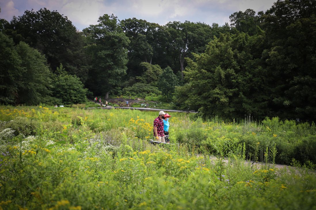 Visitors at the NYBG wear masks as they enjoy the lush gardens